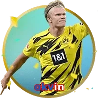 okvin